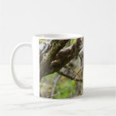 Festgestelltes Porcupine Kaffeetasse (Links)