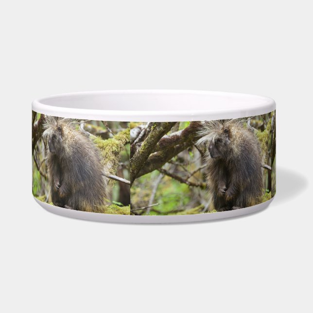 Festgestelltes Porcupine Napf (Links)