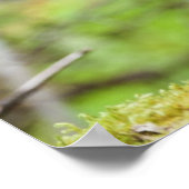 Festgestelltes Porcupine Poster (Ecke)