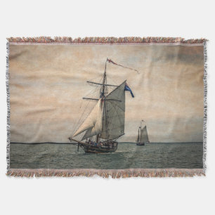 Festival del film Locarno Decke