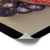 Festival Frucht Poster (Ecke)