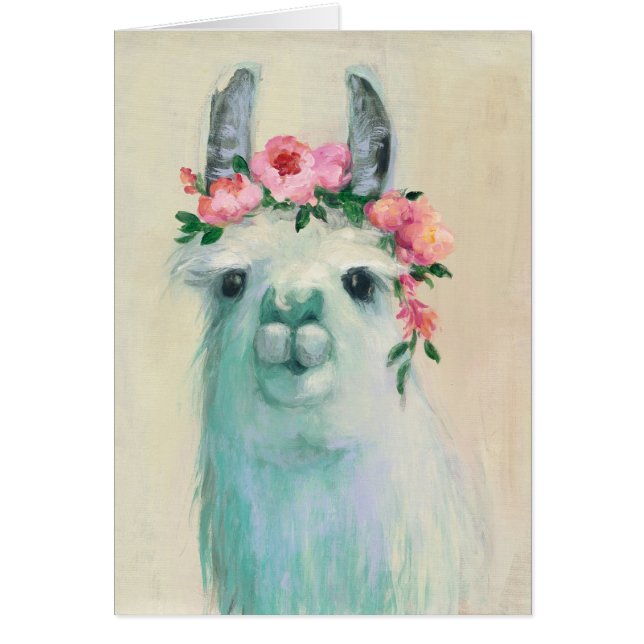 Festival Llama (Vorne)