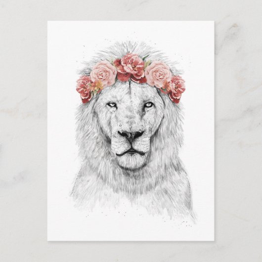 Festival Löwe Postkarte (Vorderseite)