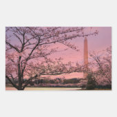 Festival Moon and Stars Rechteckiger Aufkleber (Vorderseite)