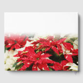 Festival Rotes Weißes Blumengestein Gästebuch (Rückseite)