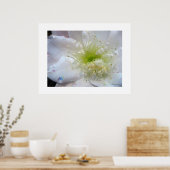 Festival White Cactus Blume Poster Print (Küche)