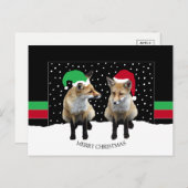 Festivals Fox Cubs Feiertag Postkarte (Vorne/Hinten)