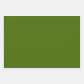 Festivals Green Polka Dots Streifen Solid Geschenkpapier Set (Vorderseite)