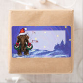 Festivals Mastodon (Insitu)