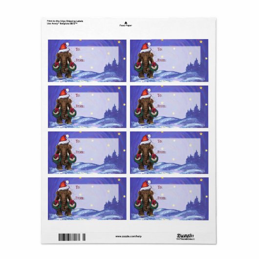 Festivals Mastodon (Vorne)