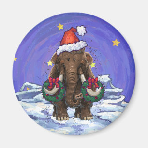 Festivals Mastodon Magnet