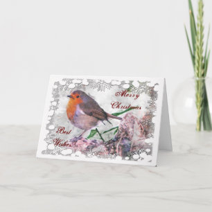 Festivals Robin Christmas Card Feiertagskarte