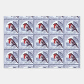 Festivals Robin Christmas Design Multiack Geschenkpapier Set (Vorderseite)