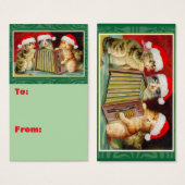 Festive Feline Accordion Players Christmas (Vorne & Hinten)