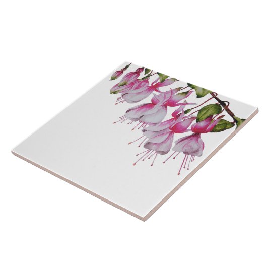 'Festive Fuchsias' auf der Keramik Tile Fliese (Seite)
