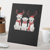 Festive Kuvasz � Christmas Pattern Classic T-Shirt Sockelschild (In Situ)