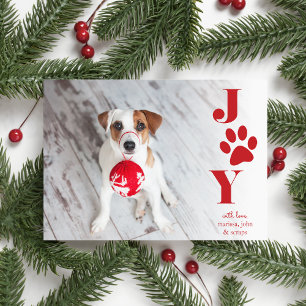 Festive Paws Haustier-Foto-Urlaubskarte Feiertagskarte