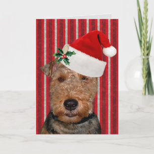 Festive Welsh Terrier Feiertagskarte