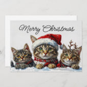 Festive Whiskers in the Snow Feiertagskarte (Vorne/Hinten)