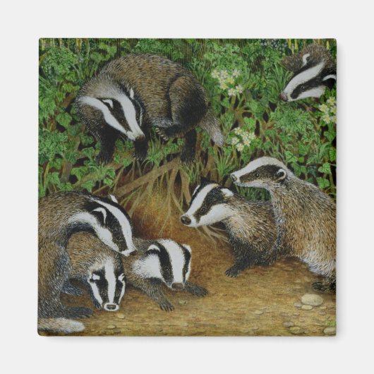 Festlegen Magnet (Vorne)