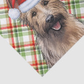 Festlich Berger Picard Dog Karierte Weihnachten Seidenpapier (Ausschnitt)