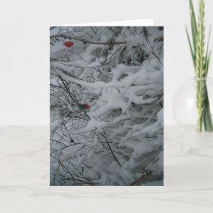 "Festlich Fluffig" Weihnachtskarte Karte