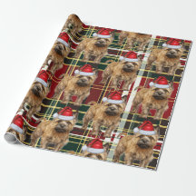 Festlich Kariert Cairn Terrier Dog Lover Weihnacht