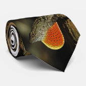 Festliche Anole Krawatte (Gerollt)