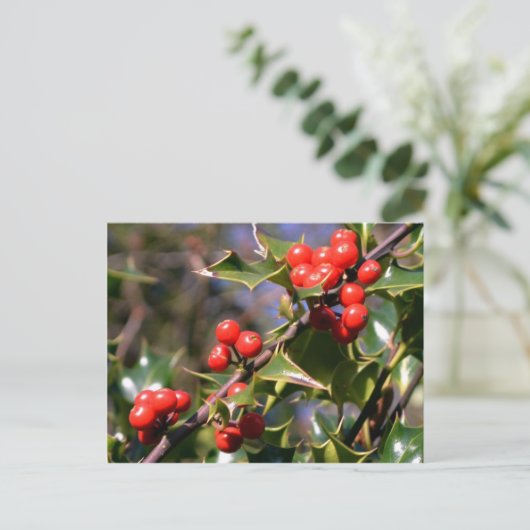 Festliche Berries Postkarte (Stehend Vorderseite)