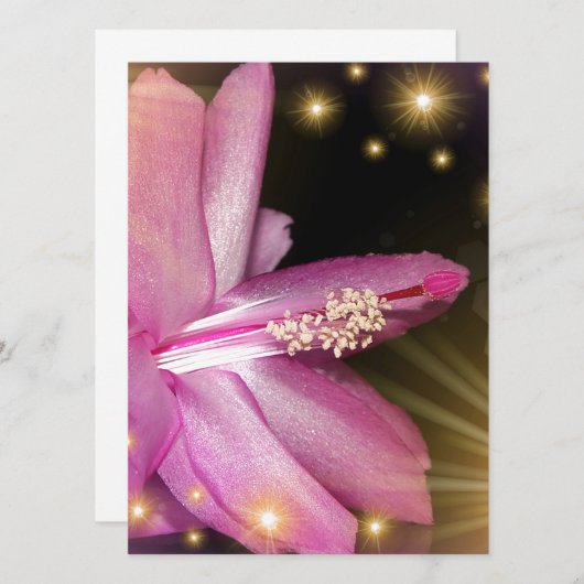 festliche Blume (Vorne/Hinten)