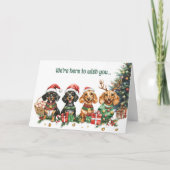 Festliche Dackel Hunde Weihnachtskarte Feiertagskarte (Vorderseite)