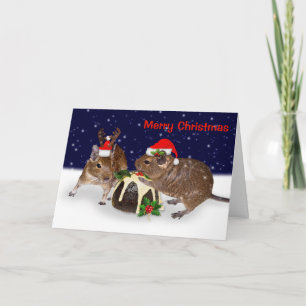 Festliche Degus Weihnachtskarte Feiertagskarte
