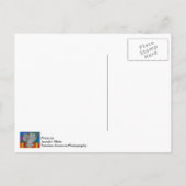 Festliche Fruchtschale Postkarte (Rückseite)