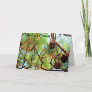 Festliche Grüße Karte