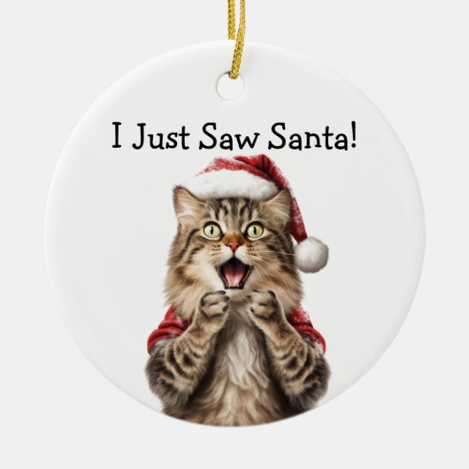 Festliche Kitty Cat Ornament (Vorne)