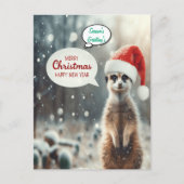Festliche Meerkat Weihnachten (Vorderseite)