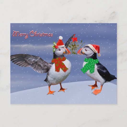 Festliche Puffs Postkarte (Vorderseite)