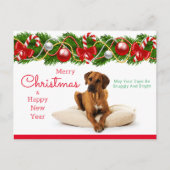 Festliche Rhodesian Ridgeback Weihnachtspostkarte Feiertagspostkarte (Vorderseite)