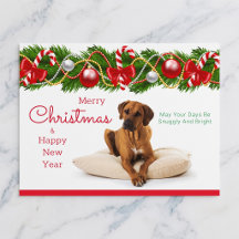 Festliche Rhodesian Ridgeback Weihnachtspostkarte