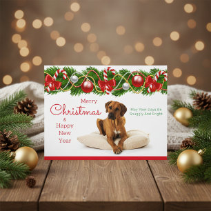 Festliche Rhodesian Ridgeback Weihnachtspostkarte Feiertagspostkarte