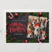 Festliche Weihnachtskarte für Haustiere Foto Feiertagskarte (Vorne/Hinten)