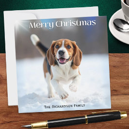 Festlicher Beagle Hund im Winterschnee Weihnachten