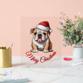 Festlicher Bulldog Frohe Weihnachten Klassischer T Acrylschild (Hochzeit)