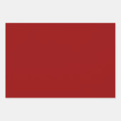 Festlicher Fungi Geschenkpapier Set (Vorderseite 2)