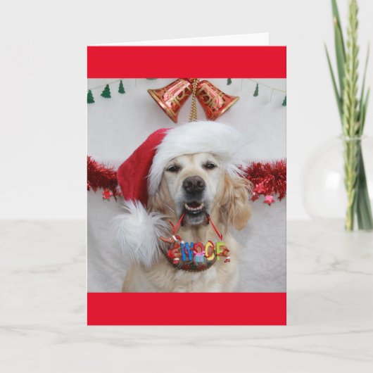 Festlicher Goldener Retriever mit Weihnachten "Woo (Vorderseite)