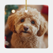 Festlicher Hund Foto Weihnachten Rote Poinsettia B Keramikornament (Rückseite)