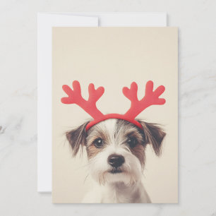 Festlicher Hund mit Rentiergeweih Einladung