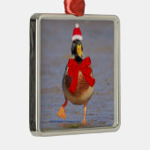 Festlicher Spaß Mallard Duck Weihnachten Ornament Aus Metall (Rechts)