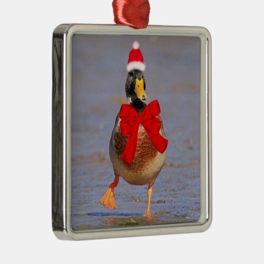 Festlicher Spaß Mallard Duck Weihnachten Ornament Aus Metall (Rechts)