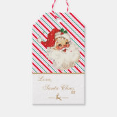 Festlicher Streifenbrief vom Weihnachtsmann Geschenkanhänger (Vorderseite)